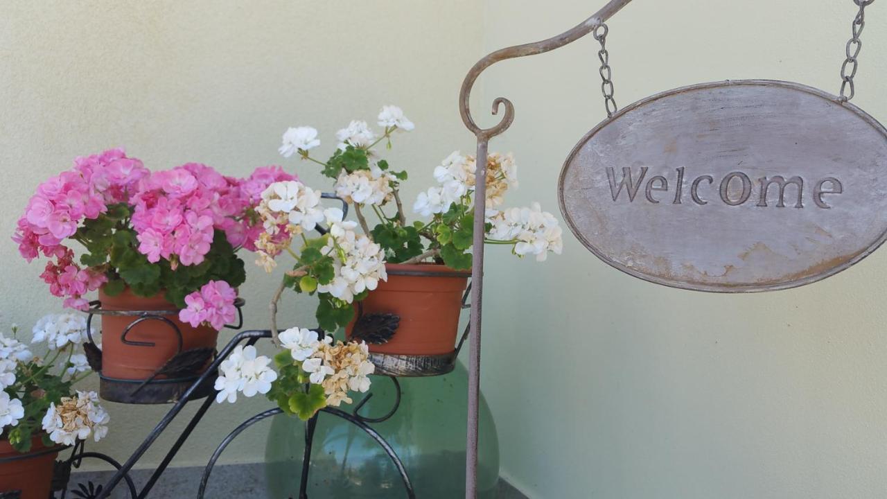 B&B Il Poggio Di Fiore Кастелина Маритима Екстериор снимка