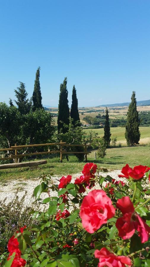 B&B Il Poggio Di Fiore Кастелина Маритима Екстериор снимка