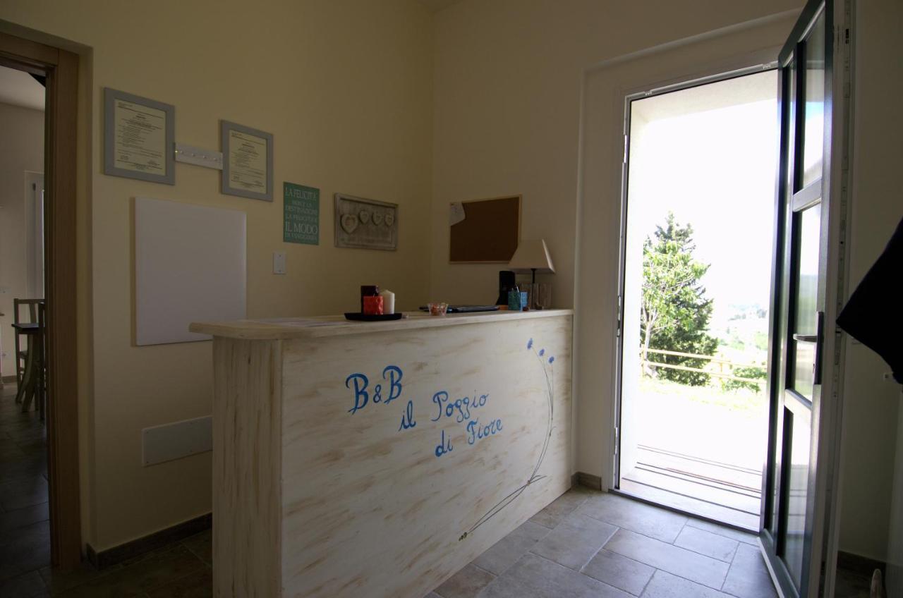 B&B Il Poggio Di Fiore Кастелина Маритима Екстериор снимка