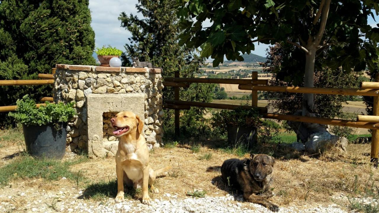 B&B Il Poggio Di Fiore Кастелина Маритима Екстериор снимка